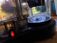 1D863575-E13E-44AE-B3C9-DDB34E6FFF8A_1_102_o.jpeg