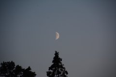 874B0C09-CD36-4A93-AB45-5E1D9CC57AD5_1_102_o.jpeg