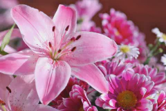 DSC_1093.jpg.webp