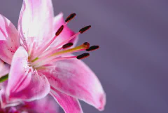 DSC_1094.jpg.webp