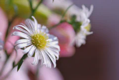 DSC_1095.jpg.webp