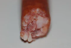 DSC_1186.jpg.webp