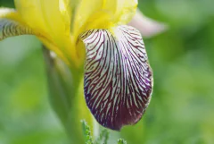 DSC_1434.jpg.webp
