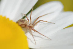 DSC_1445.jpg.webp