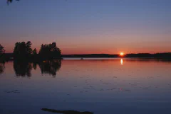 DSC_1456.jpg.webp