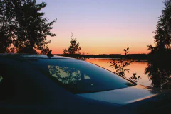 DSC_1464.jpg.webp