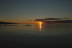 DSC_1652.jpg.webp