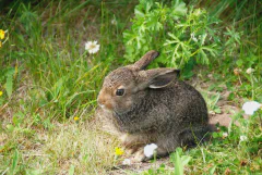 DSC_1906.jpg.webp