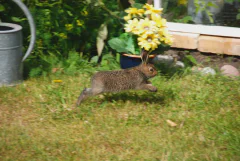 DSC_1910.jpg.webp