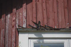 DSC_1915.jpg.webp