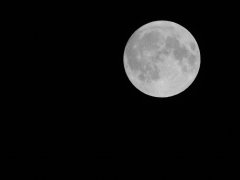 DSC_1994.jpeg