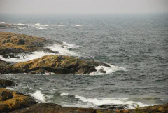 DSC_2013.jpg.webp