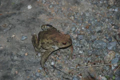 DSC_2272.jpg.webp
