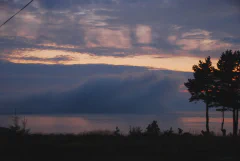 DSC_2273.jpg.webp