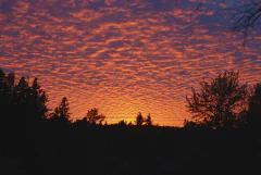 DSC_7116-scaled.jpg.webp