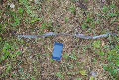 DSC_9415.jpg.webp