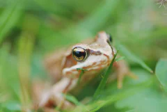 DSC_9488.jpg.webp