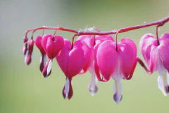DSC_9533.jpg.webp