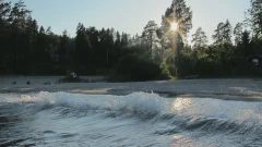 IMG_0504.jpg.webp