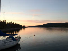 image-5.png.webp