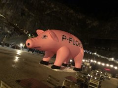 98329E22-CD78-432E-B754-761E69553F0E_1_105_c.jpeg